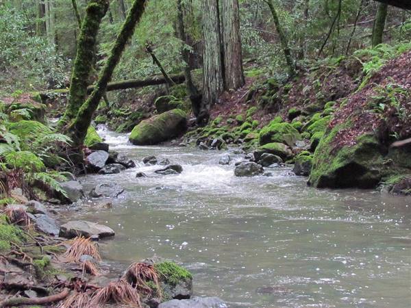 Sugarloaf Ridge State Park (SP) (12/27/2010 - Credits: "Winter in Sugarloaf Ridge State Park" by David Berry (CC BY 2.0)[https://creativecommons.org/licenses/by/2.0/legalcode]https://www.flickr.com/photos/dberry/)