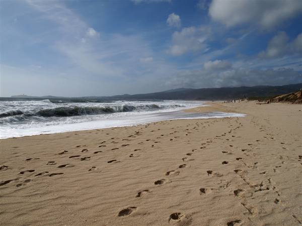 Half Moon Bay State Beach (SB) (5/23/2010 - Credits: "Francis Beach, Half Moon Bay State Park" by Courtney Johnston (CC BY-NC-ND 2.0)[https://creativecommons.org/licenses/by-nc-nd/2.0/legalcode]https://www.flickr.com/photos/courtneyjohnston/)