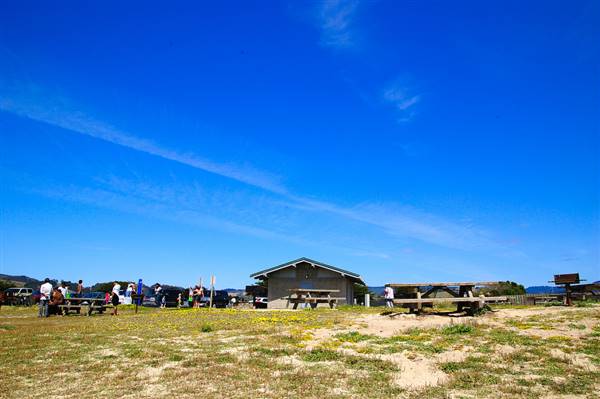 Half Moon Bay State Beach (SB) (6/15/2009 - Credits: "Half Moon Bay 113" by Ming-yen Hsu (CC BY-ND 2.0)[https://creativecommons.org/licenses/by-nd/2.0/legalcode]https://www.flickr.com/photos/myhsu/)