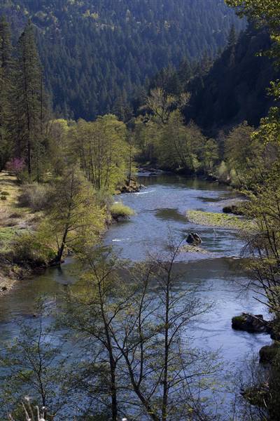 Trinity River (6/18/2015 - Credits: "My Public Lands Roadtrip: Trinity Wild and Scenic River in California" by the Bureau of Land Management (CC BY 2.0)[https://creativecommons.org/licenses/by/2.0/legalcode]https://www.flickr.com/photos/mypubliclands/)
