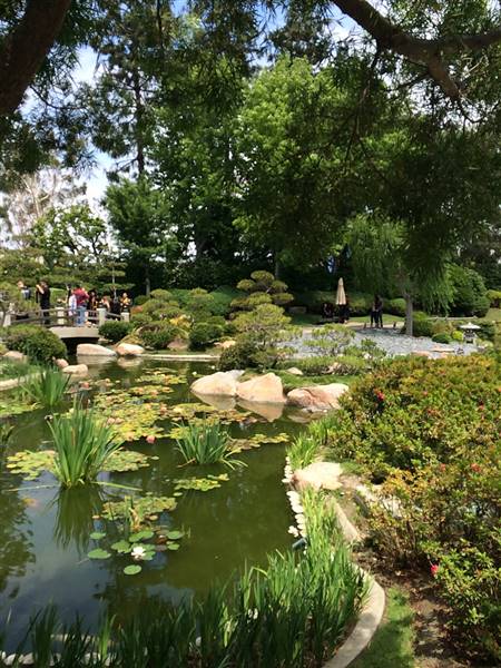 Earl Burns Miller Japanese Garden - California State University Long Beach - CSULB (5/15/2016 - Credits: "Untitled" by Sergei Gussev (CC BY 2.0)[https://creativecommons.org/licenses/by/2.0/legalcode]https://www.flickr.com/photos/sergeigussev/)