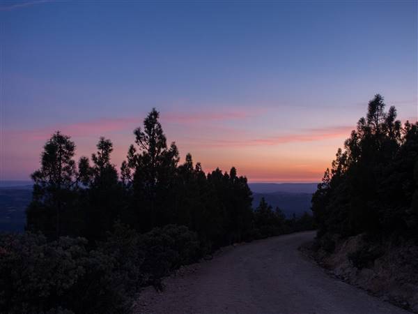 Robert Louis Stevenson State Park (SP) (9/5/2015 - Credits: "Beautiful Evening Sky Walking Down the Mount St. Helena Trail" by Eugene Kim (CC BY 2.0)[https://creativecommons.org/licenses/by/2.0/legalcode]https://www.flickr.com/photos/eekim/)
