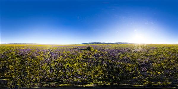Carrizo Plain National Monument (3/26/2016 - Credits: "Carrizo Plain National Monument" Photo courtesy of Bureau of Land Management (CC BY 2.0)[https://creativecommons.org/licenses/by/2.0/legalcode]https://www.flickr.com/photos/mypubliclands/)
