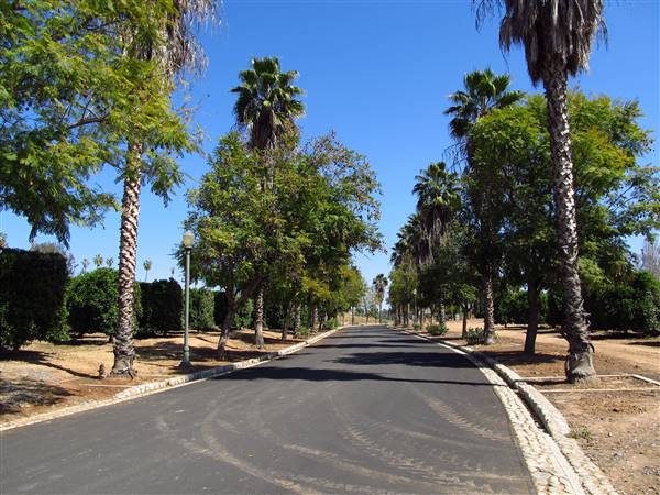 California Citrus State Historic Park (SHP) (3/24/2013 - Credits: "California Citrus State Historic Park" by Flickr User: Jasperdo (CC BY-NC-ND 2.0)[https://creativecommons.org/licenses/by-nc-nd/2.0/legalcode]https://www.flickr.com/photos/mytravelphotos/)