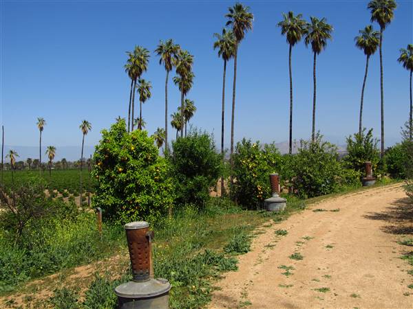 California Citrus State Historic Park (SHP) (3/24/2013 - Credits: "California Citrus State Historic Park" by Flickr User: Jasperdo (CC BY-NC-ND 2.0)[https://creativecommons.org/licenses/by-nc-nd/2.0/legalcode]https://www.flickr.com/photos/mytravelphotos/)
