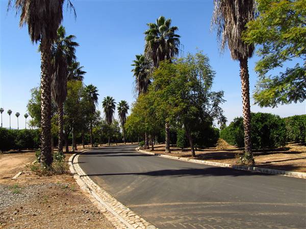 California Citrus State Historic Park (SHP) (3/24/2013 - Credits: "California Citrus State Historic Park" by Flickr User: Jasperdo (CC BY-NC-ND 2.0)[https://creativecommons.org/licenses/by-nc-nd/2.0/legalcode]https://www.flickr.com/photos/mytravelphotos/)
