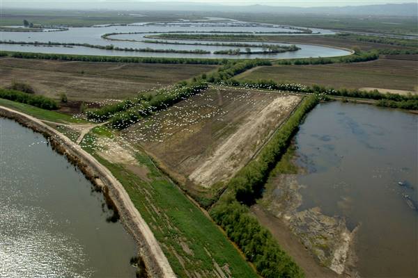 Sacramento-San Joaquin Delta (10/5/2016 - Credits: Photo courtesy of California Department of Water Resources)