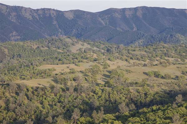 Cache Creek Wilderness (1/6/2015 - Credits: "BLM Winter Bucket List #14 Cache Creek Natural Area, California, for Eagle Hikes" by Bob Wick for BLM (CC BY 2.0)[https://creativecommons.org/licenses/by/2.0/legalcode] https://www.flickr.com/photos/mypubliclands/)