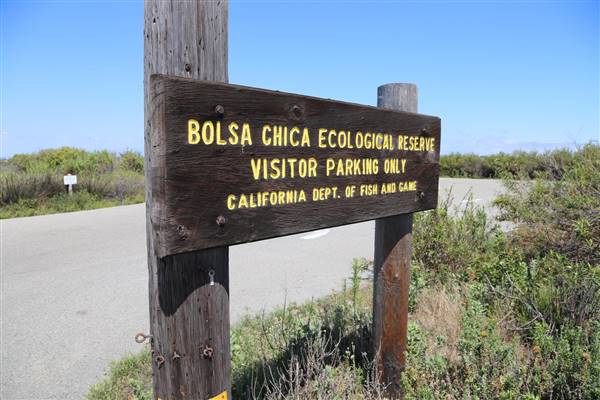 Bolsa Chica Ecological Reserve - California Department of Fish & Wildlife (CDFW) (10/18/2016 - Credits: Photo courtesy of Kris Bunting)