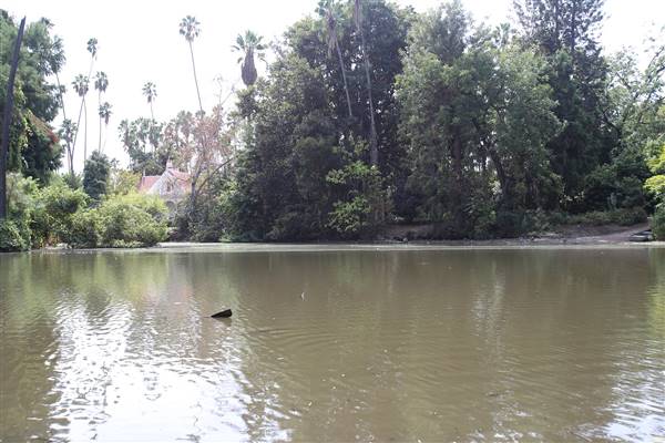 Los Angeles County Arboretum (11/3/2016 - Credits: Photo courtesy of Kris Bunting)