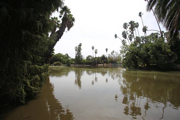Los Angeles County Arboretum (11/3/2016 - Credits: Photo courtesy of Kris Bunting)