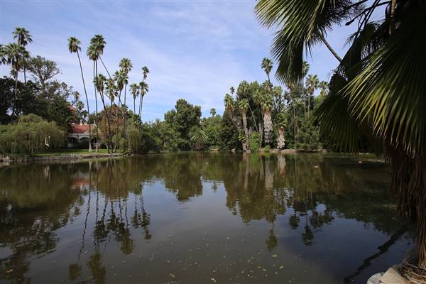 Los Angeles County Arboretum (11/3/2016 - Credits: Photo courtesy of Kris Bunting)