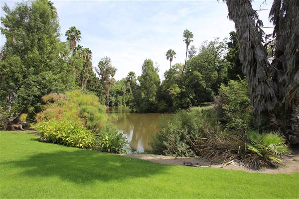 Los Angeles County Arboretum (11/3/2016 - Credits: Photo courtesy of Kris Bunting)