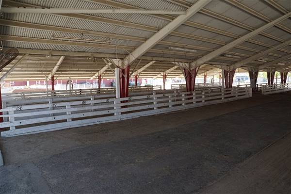 Kern County Fair - 15th DAA - Various Barn and Livestock Areas (11/7/2016 - Credits: Barns & Livestock Area - Photo courtesy of Kern County Fair)
