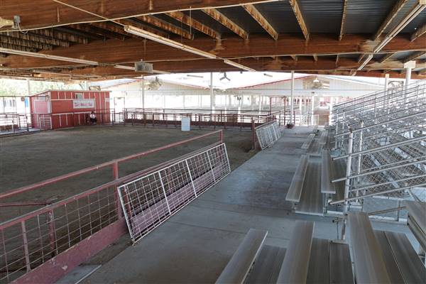 Kern County Fair - 15th DAA - Various Barn and Livestock Areas (11/7/2016 - Credits: Barns & Livestock Area - Photo courtesy of Kern County Fair)