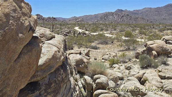 Desert View Conservation Area (4/28/2014 - Credits: Marc Hlavaty)
