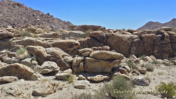 Desert View Conservation Area (4/28/2014 - Credits: Marc Hlavaty)