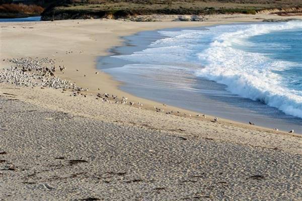 Carmel River State Beach (SB) (6/28/2017)