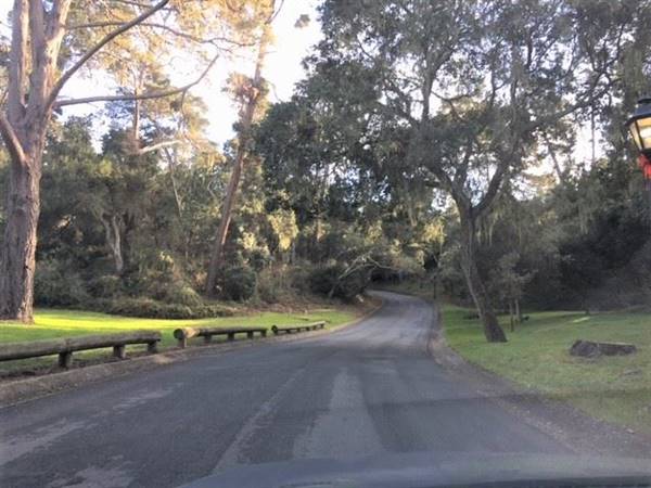 Litchfield Road (6/28/2017)