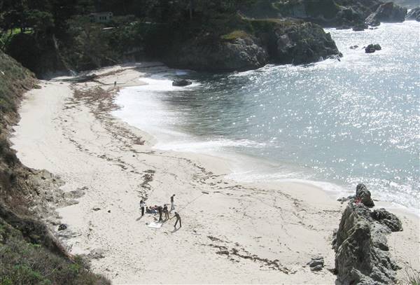Point Lobos State Natural Reserve (SNR) (6/28/2017)