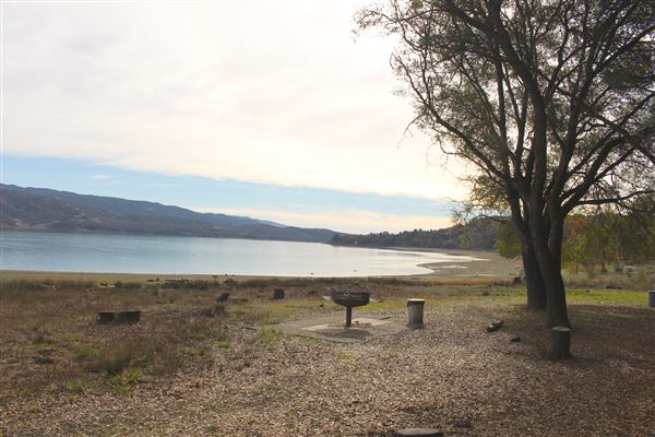 Coyote Valley Dam / Lake Mendocino - Lake Mendocino - northwestern shore (11/30/2017 - Credits: Kellen Lim)