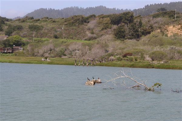 Ten Mile Estuary State Marine Conservation Area - Ten Mile River (3/29/2017 - Credits: Kellen Lim)