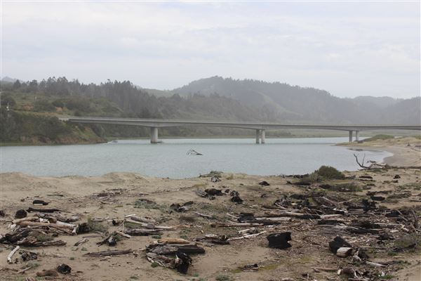Ten Mile Estuary State Marine Conservation Area - Ten Mile River (3/29/2017 - Credits: Kellen Lim)