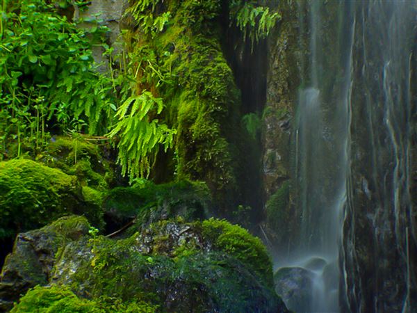 Shasta County Waterfalls (1/19/2018 - Credits: Michelle James)