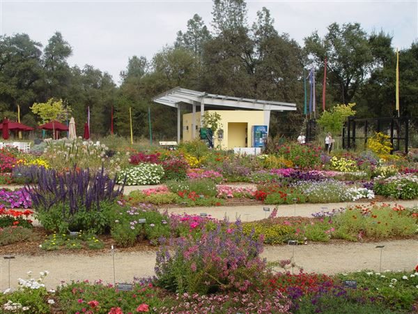 Shasta County Gardens (1/22/2018)