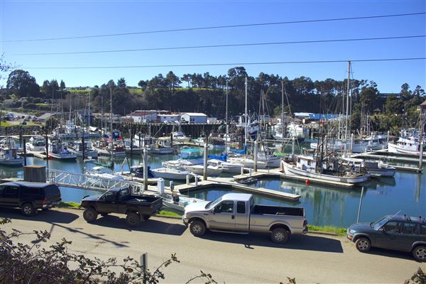 Noyo Harbor District - Noyo Harbor District (Noyo Harbor south bank) (2/13/2018 - Credits: Kellen Lim)