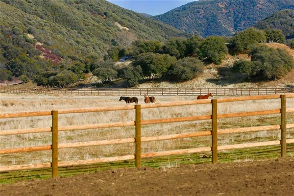 Rancho Grande (3/29/2018)