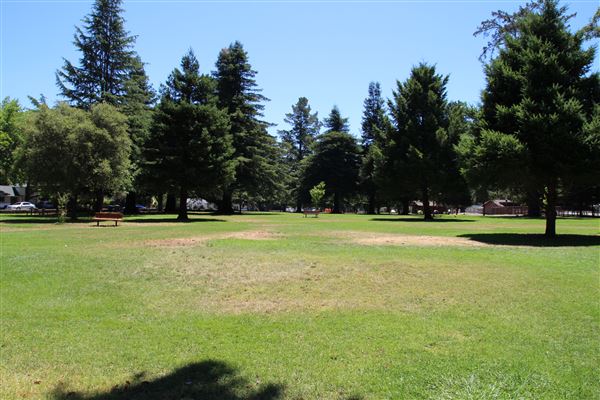 Todd Grove Park - Large lawn areas dominate the park. (7/11/2017 - Credits: Kellen Lim)