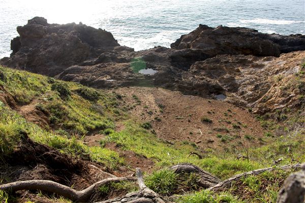 Mendocino Bay Overlook (Public Access Easement) - View from southern path. Accessible from southern path (4/18/2018 - Credits: Kellen Lim)