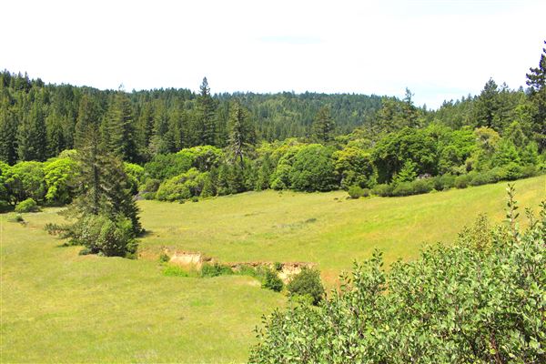 Peachland Road - Anderson Valley region- North East of Boonville, scenic view as seen in last mile or so. (5/15/2018 - Credits: Kellen Lim)