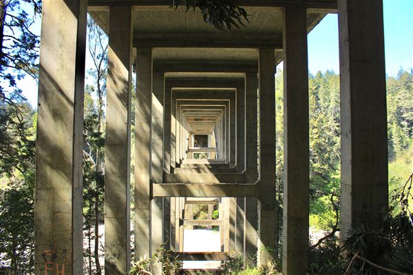 Russian Gulch State Park (SP) / Russian Gulch Bridge - Highway 1 - Photo taken from South Headlands Trail in Russian Gulch State Park (4/24/2018 - Credits: Kellen Lim)