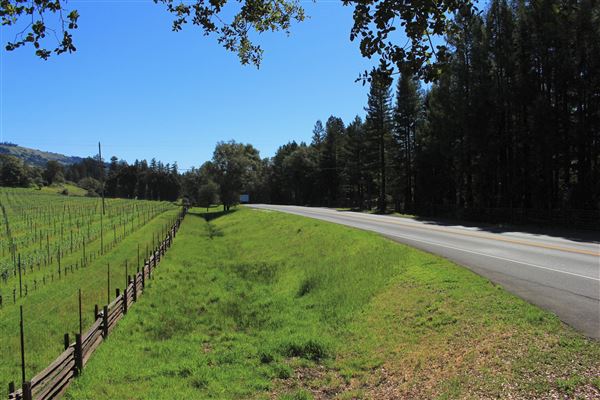 Highway 128 - Anderson Valley corridor - Highway 128 - North of Philo, More Vineyards (looking southward) (3/15/2017 - Credits: Kellen Lim)