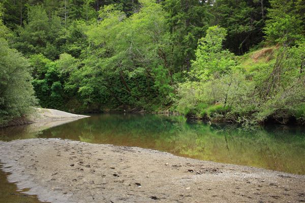 Navarro River Redwoods State Park (SP) (5/15/2018 - Credits: Kellen Lim)