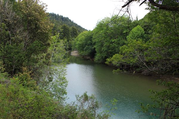 Navarro River - located in Hendy Woods State Park (SP) (5/15/2018 - Credits: Kellen Lim)