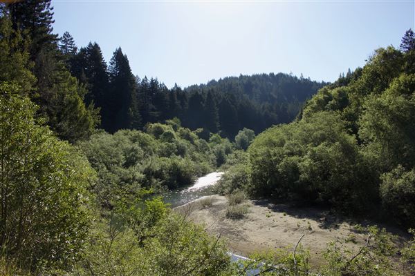 Navarro River - located in Hendy Woods State Park (SP) (5/8/2018 - Credits: Kellen Lim)
