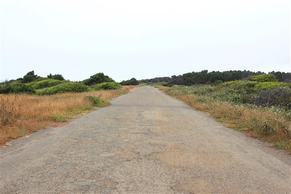 Haul Road Coastal Trail (MacKerricher State Park) (7/16/2018 - Credits: Kellen Lim)