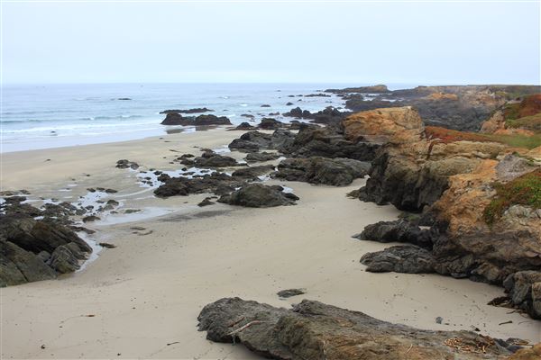 Haul Road Coastal Trail (MacKerricher State Park) (7/16/2018 - Credits: Kellen Lim)