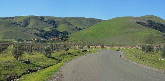 Gloria Ferrar Champagne Caves (7/25/2018)