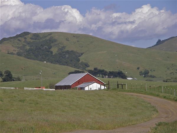 J G Angus Ranch (7/25/2018)