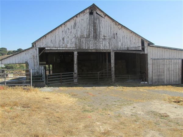 Maffia Dairy Ranch (7/25/2018)