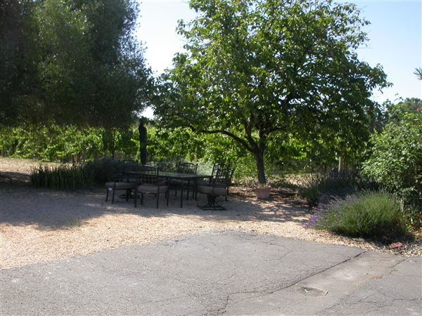 Olivet Grange Vineyard (7/25/2018)