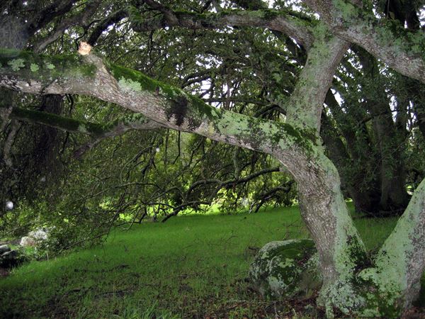Tom Scott Ranch (7/25/2018)