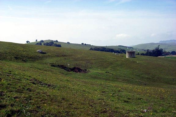 Tresch Dairy (7/25/2018)