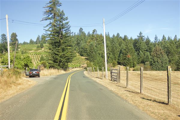 Greenwood Road - Greenwood Road/132 County Road, looking westward (7/30/2018 - Credits: Kellen Lim)