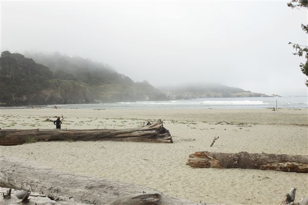 Big River Beach @ Menodocino Headlands State Park  (SP) (7/24/2018 - Credits: Kellen Lim)