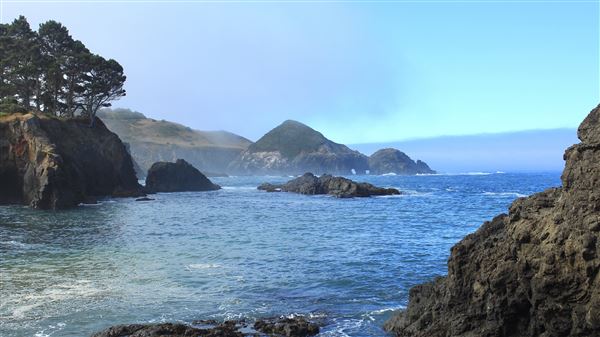 Buckhorn Cove (8/7/2018 - Credits: Kellen Lim)